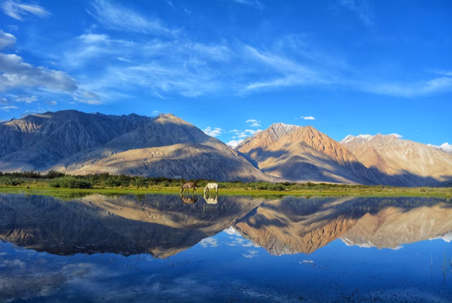 05 Nights / 06 Days Incredible Ladakh